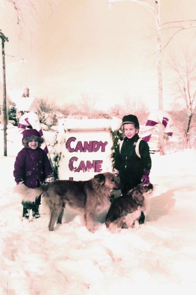 Candy Cane Lane 4
