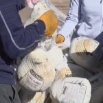 Second Harvest announces 11th annual Turkey Day Distribution